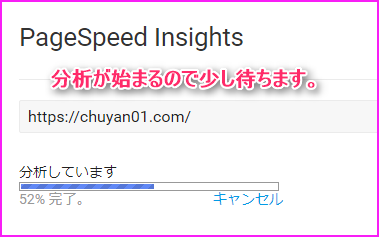 pagespeed insightsの使い方の説明画像2